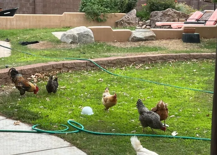 The Garten Haus