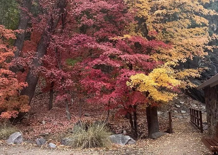 The Garten Haus